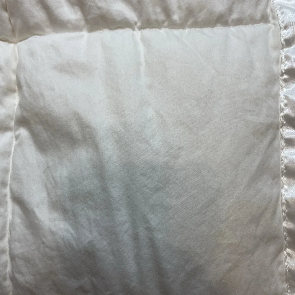 Royal Velvet Satin Trim Down Comforter 87